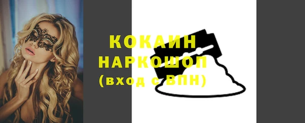 шишки Горнозаводск